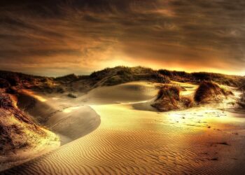 Exploring Together: Creating Lasting Memories on Family Adventures