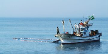 Exploring Paradise: A Guide to the Ultimate Vacation Destinations