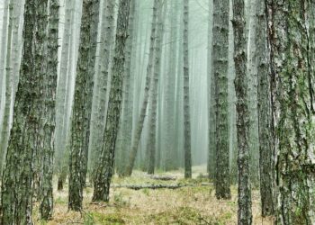 Unlocking the Secrets of Stress-Free Travel: Expert Tips for a Seamless Journey