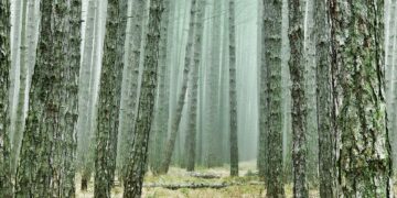 Unlocking the Secrets of Stress-Free Travel: Expert Tips for a Seamless Journey