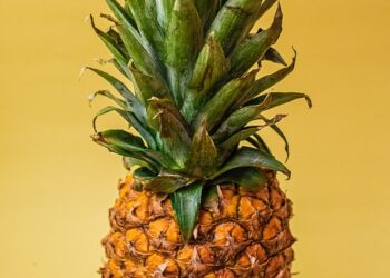 Exploring the Flavorful World of Local Food: A Culinary Adventure Through Your City