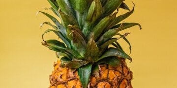 Exploring the Flavorful World of Local Food: A Culinary Adventure Through Your City