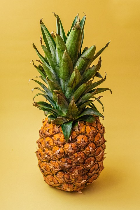 Exploring the Flavorful World of Local Food: A Culinary Adventure Through Your City