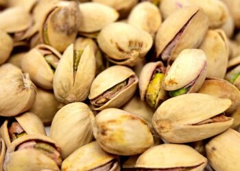 Savoring the Flavors of Tradition: Exploring the Culinary Heritage of [Region]