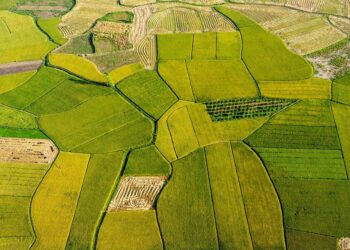 Discover the World on a Dime: Top Budget-Friendly Travel Destinations for Thrifty Explorers