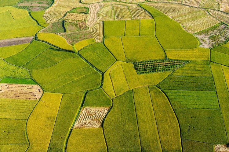 Discover the World on a Dime: Top Budget-Friendly Travel Destinations for Thrifty Explorers