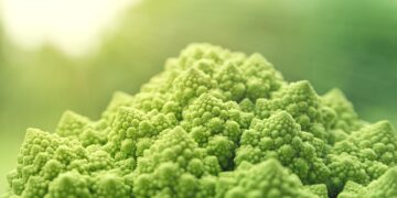 Exploring the World’s Best Flavors: A Culinary Adventure Across Continents