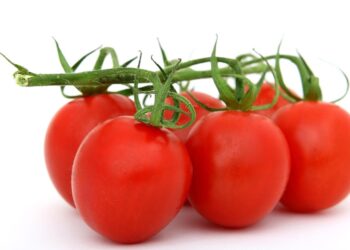 Global Gastronomy: A Journey Through Tastes and Cultures